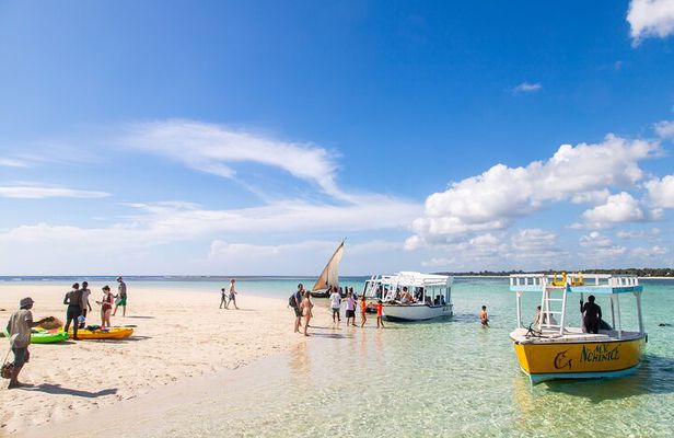 Glass Bottom Boat Tour