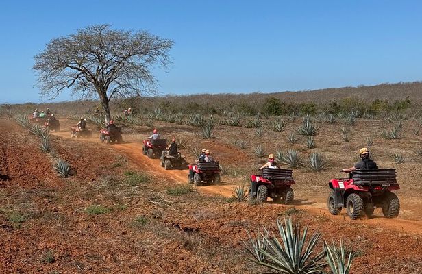 ATV & Temazcal combo with lunch and Mezcal tour