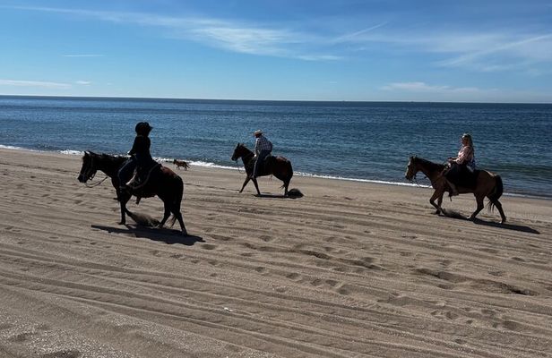 Horseback riding & Temazcal combo with lunch and mezcal tour