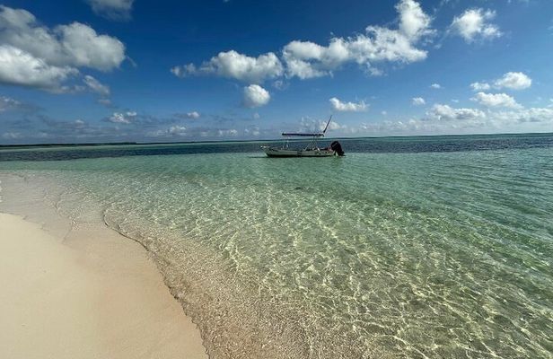 Cozumel Buggy Island Adventure Punta Sur Park &Scenic Island Tour