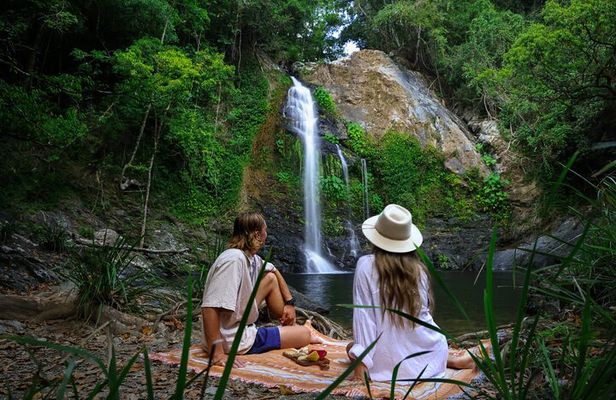 Daintree Sensations