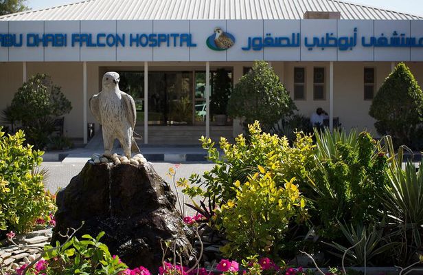 Wings of Heritage Abu Dhabi Falcon Hospital Tour