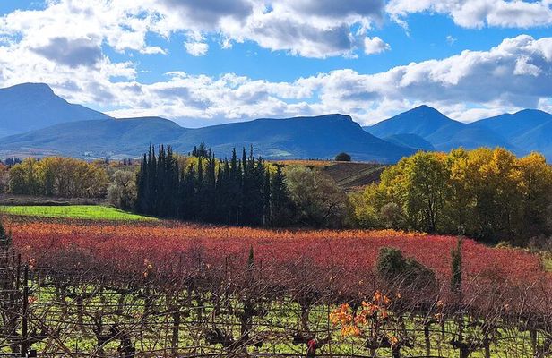 Nemea Premium One Day Wine Gathering