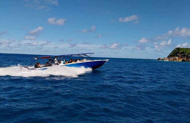 Half Day Friendly Island Tour