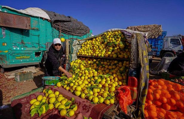 Discover traditional weekly market at the outskirts of Marrakesh