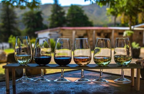 Waipara Wine Trail Group Tour From Christchurch