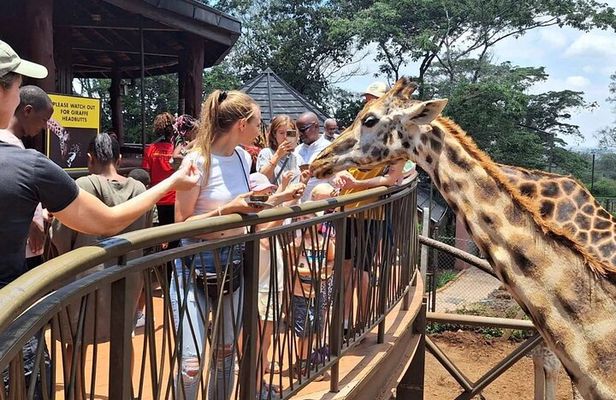 Giraffe Centre , Kobe Beads and Bomas Day Tour
