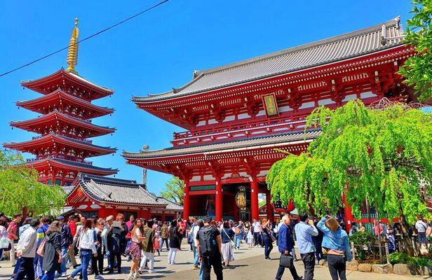 Asakusa History and Kappa Street (Kappabashi Dogugai) Tour