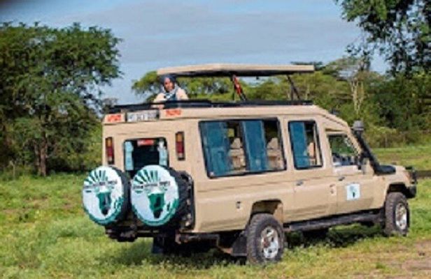 The World's Best 1 Day Tarangire Budget Group Safari From Arusha