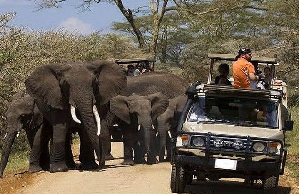 Explore 1 day Ngorongoro Crater Budget Group Safari from Arusha