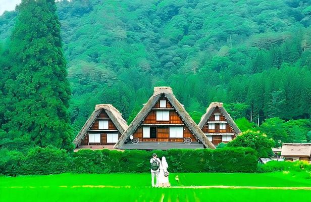 Shiroyama Shirakawa-go Day Trip from Nagoya