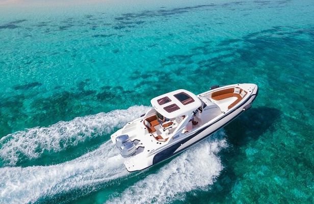 PRIVATE TOUR ! 4-Hours Swiming with dolphins, snorkeling, island by speed boat