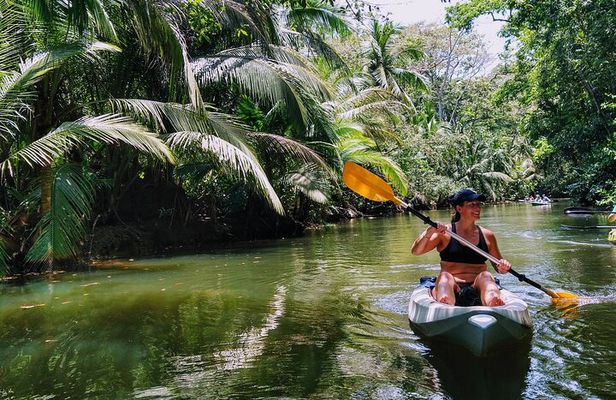 Punta Uva Wildlife Kayaking, Hike & Sloth Watching Tour