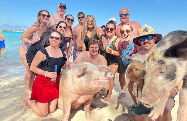4-Island Tour Swimming Pigs, turtles, snorkeling , rose island,