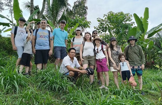 Tetebatu Guided Tour in Rice Terraces Waterfall and Monkey Forest