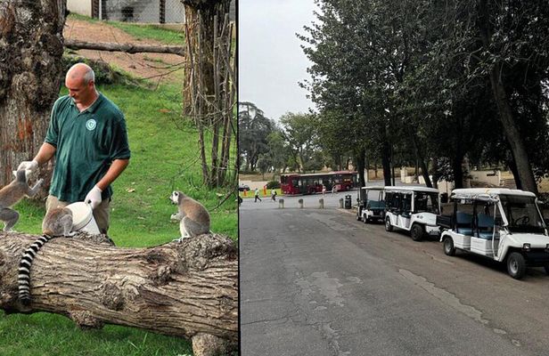 Rome: Entrance ticket Zoo + Golf Cart tour of Villa Borghese