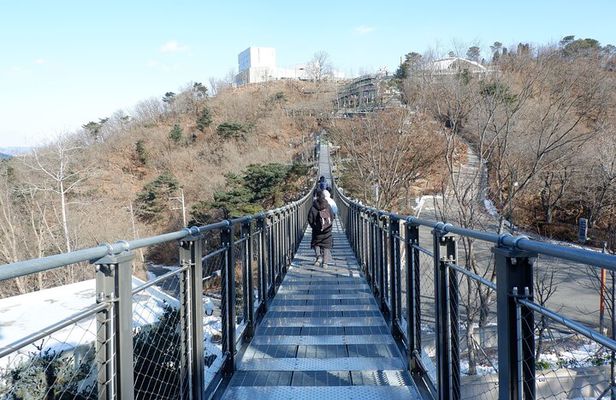Closest Observatory to DMZ & Suspension Bridge from Seoul