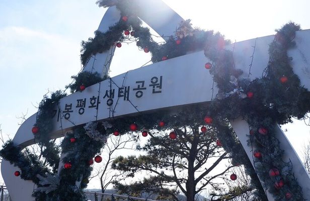 Closest Observatory to DMZ & Suspension Bridge Tour from Seoul