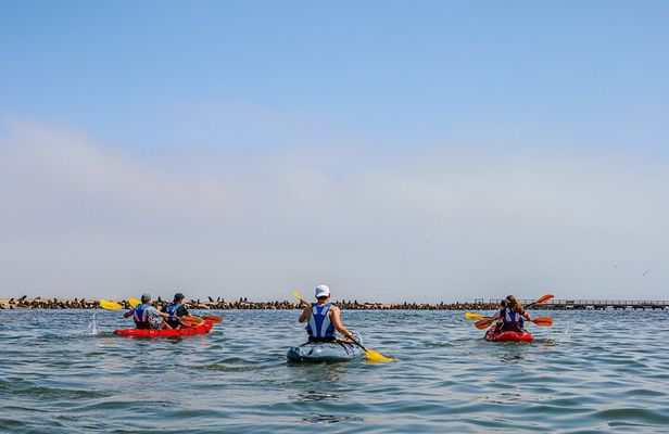 Mola Mola Kayaking Combo with Beach Braai