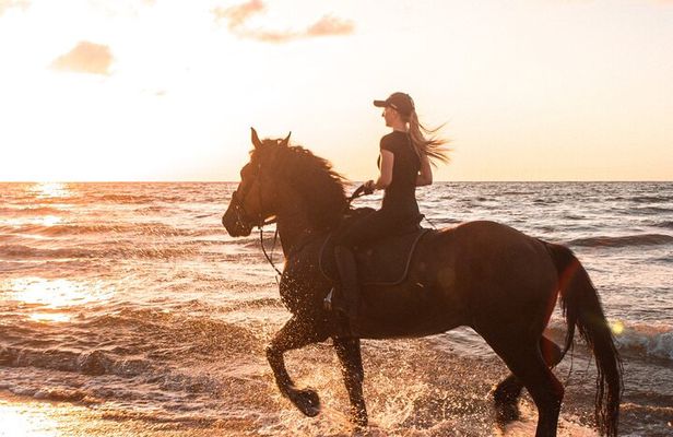 Gili Trawangan Beach Horseback Riding with Pickup Hotel