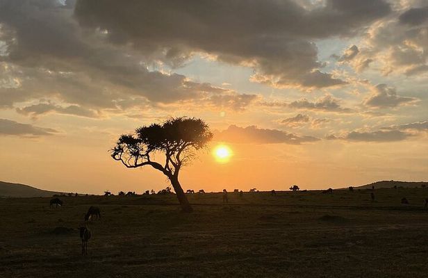 Amboseli day trip with pick up