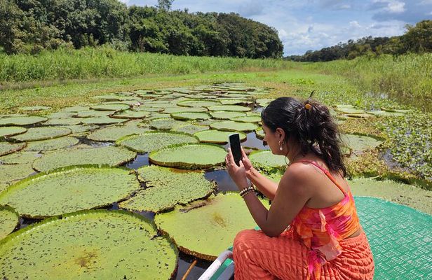 Exploring the Amazon by Boat with Sunset and Wildlife Observation