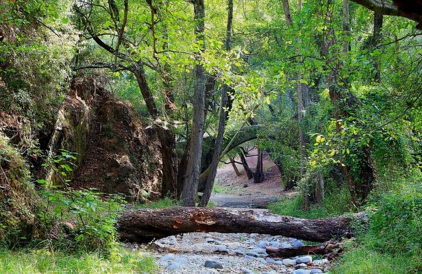 Beauty, Nature and Charm of Troodos Mountains from Paphos