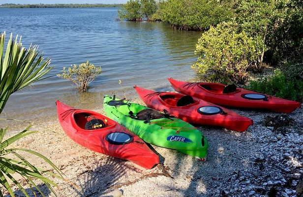 Indian River Lagoon Preserve Kayak Tour