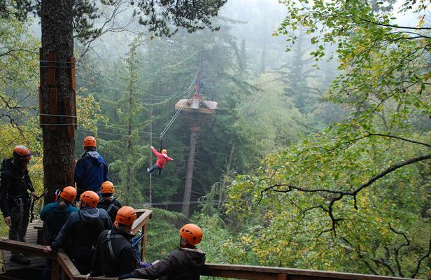 Adventure Parks & Zipline Tour