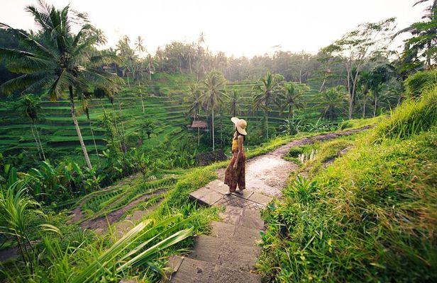 Private Ubud Tour with Monkey Forest and Waterfall