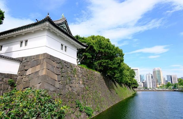Tokyo Tour Imperial Palace, Sake, Robots, Gardens and Edo Museum