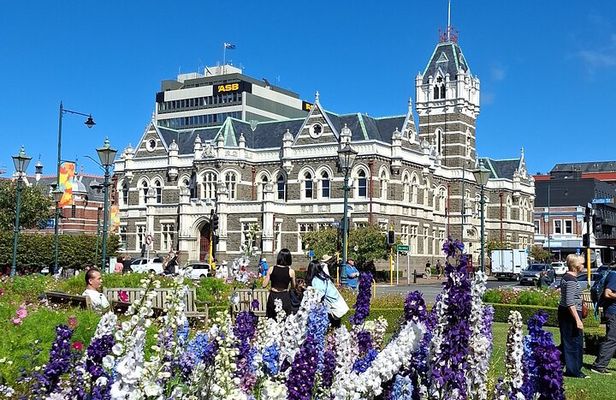 Experience Dunedin and Otago Peninsula Tours For Up To 4 people