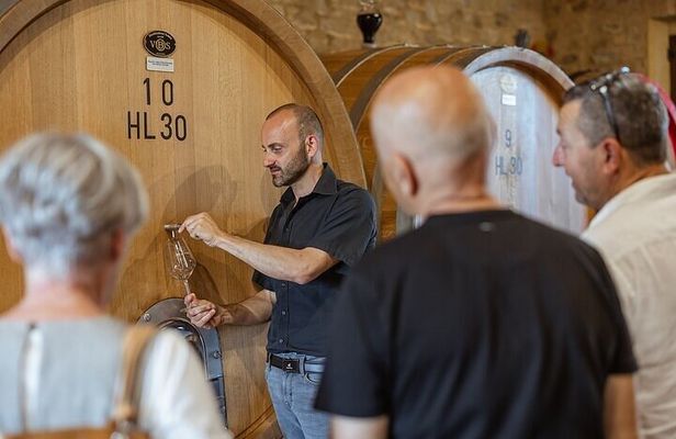 From Siena Brunello di Montalcino Wine Tour with Lunch