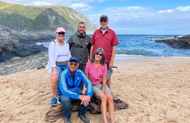 1 Day Garden Route Tour to Tsitsikamma from Port Elizabeth 