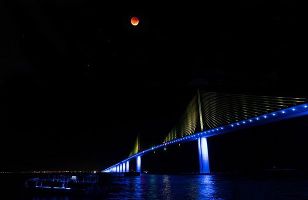 Skyway Light Show Tour Under the Stars