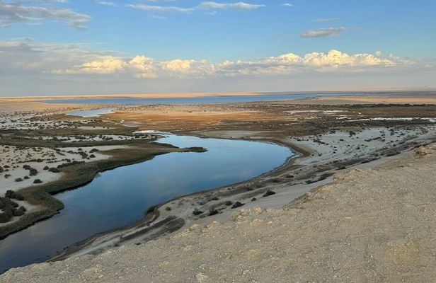 Fayoum Oasis Desert Safari 4x4 & Sandboarding with Cairo Pickup