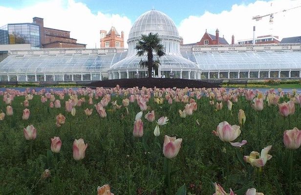 A Unique Belfast Walking Experience