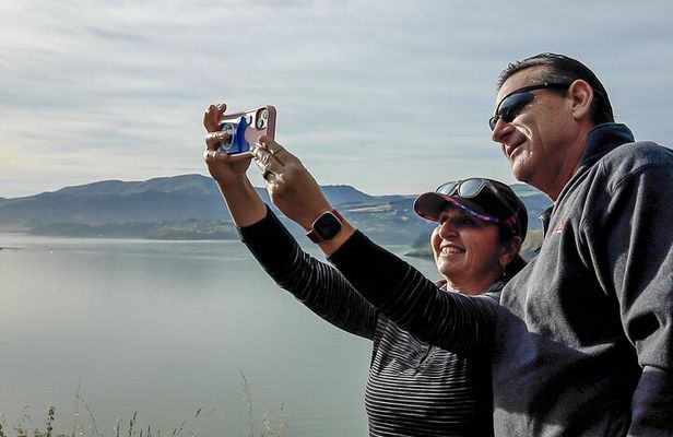 1/2-day Christchurch Scenic Highlights (Private Tour)