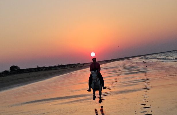 Private Horseback Riding in Muscat Beach