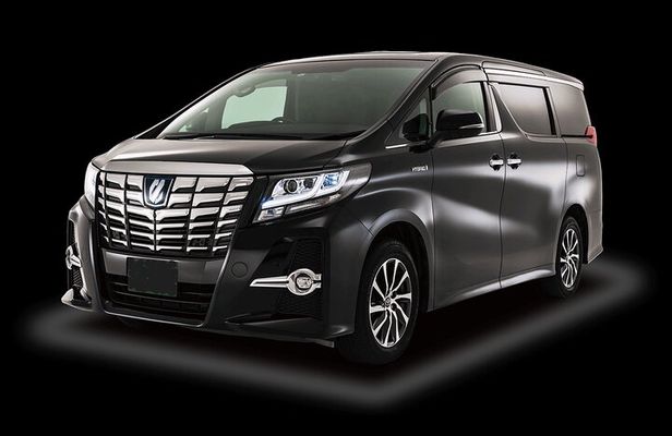 Private Taxi Tour in Tokyo with Government Licensed Guide