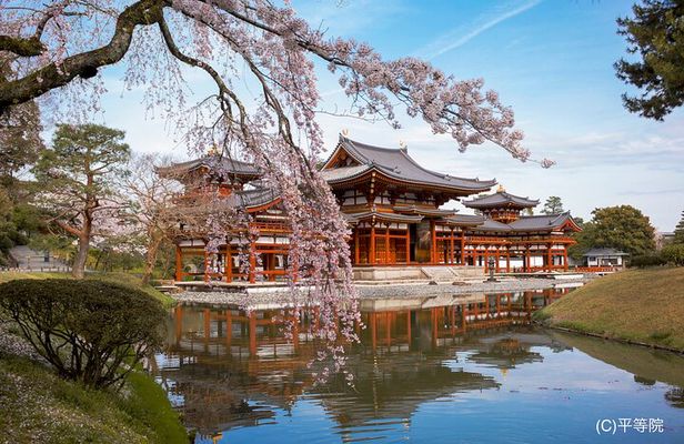 Matcha Grinding Experience and Walking Tour in Uji Kyoto