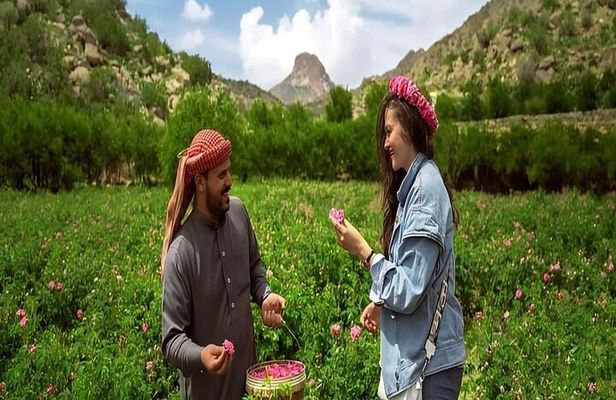 Tour from Jeddah to Taif Explore the City of Roses