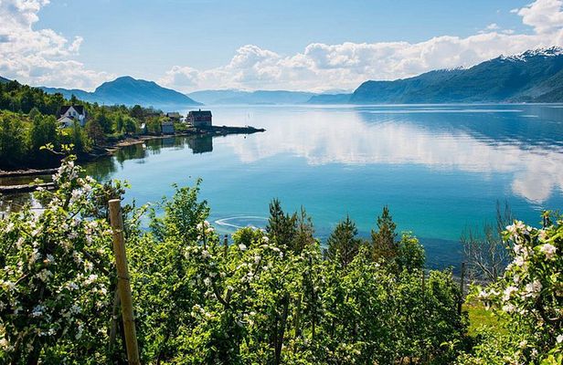 Guided tour - Hardangerfjord, Eidfjord & 3 Great Waterfalls