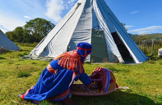 Reindeer Feeding and Sami Culture - Summer tour