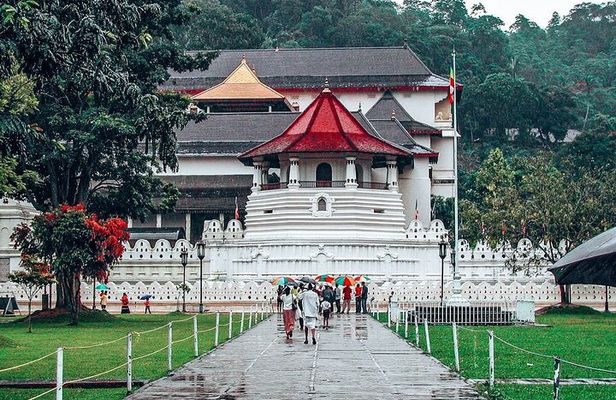 Kandy All Inclusive Day Tour from Colombo