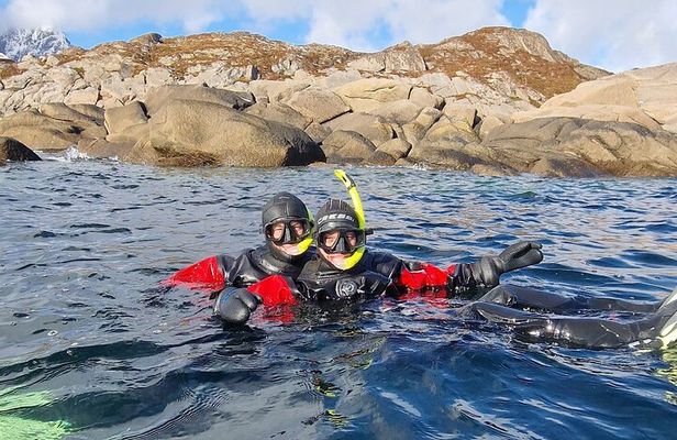 Lofoten Unique Snorkeling Experience in Dry Suit