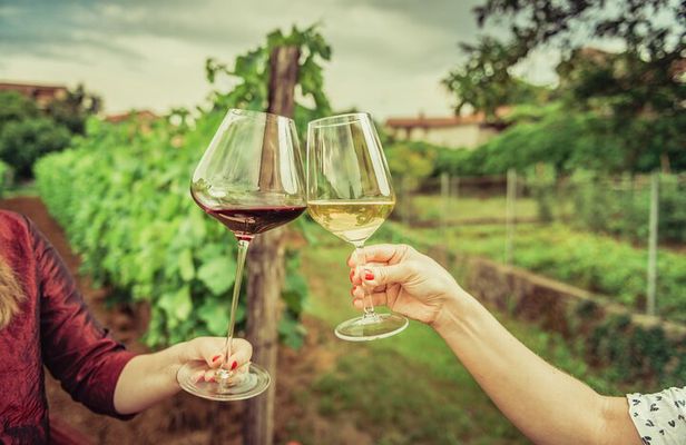 Private Luxury Tour: Ancient Nemea & Top Wine Tasting Experience