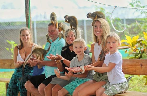 Monkey Magic and City Views in Puerto Plata