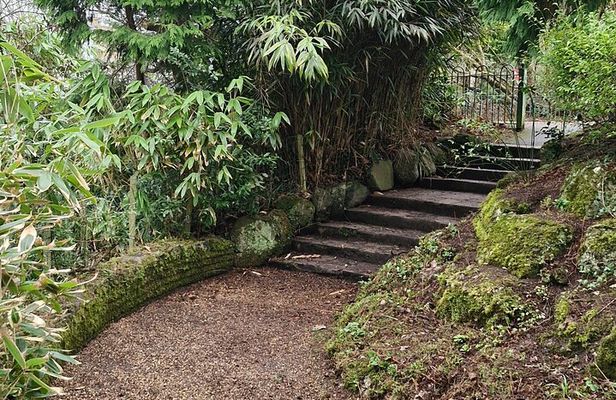 A Unique Belfast Walking Experience