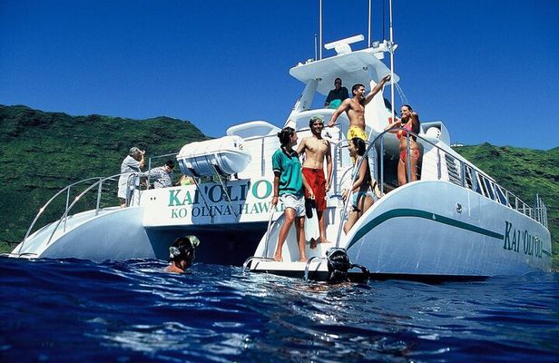 Oahu: Snorkeling Cruise and Dolphin Watch With Hawaiian Buffet